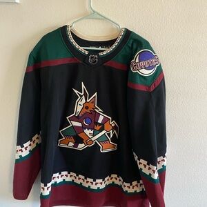 Coyotes Team Hockey Jersey